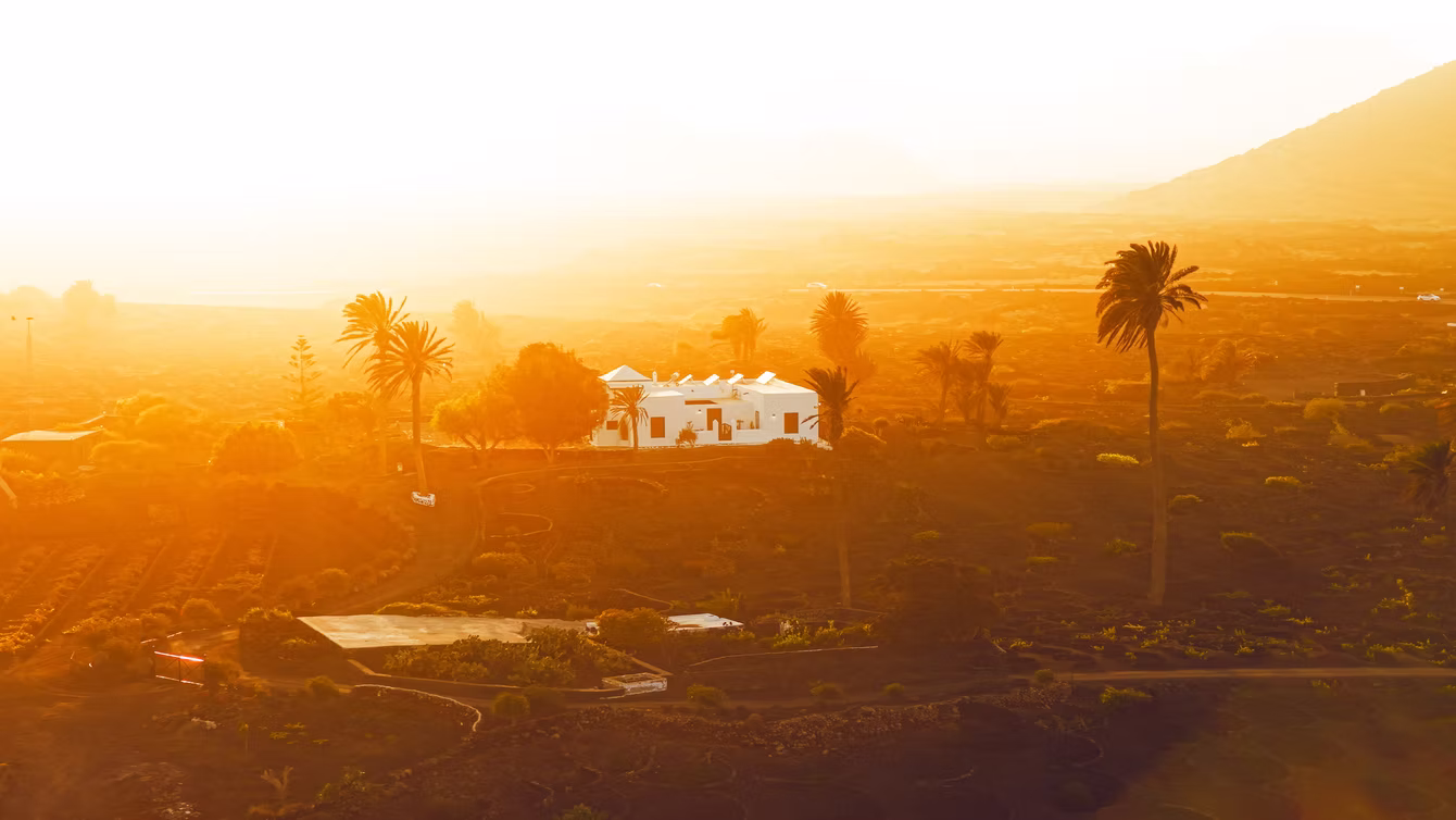 Golden sunrise over a farmhouse and palm trees